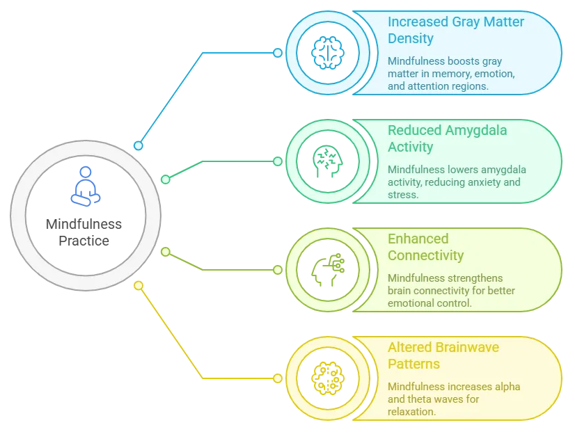 brain-transformation-through-mindfulness